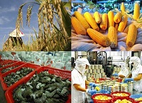 Thủ tục xuất khẩu nông sản
